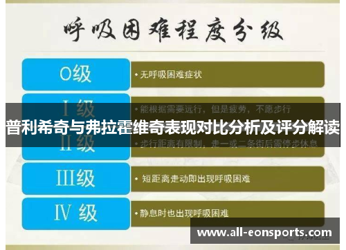 普利希奇与弗拉霍维奇表现对比分析及评分解读