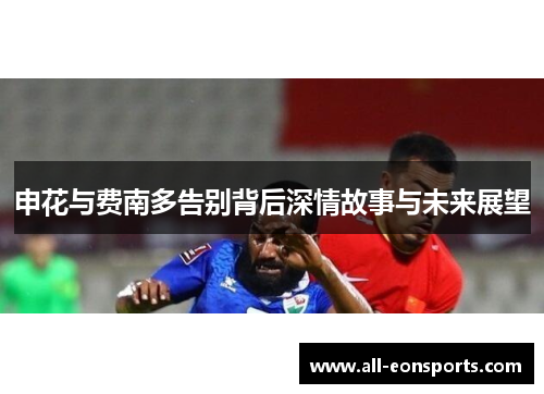 申花与费南多告别背后深情故事与未来展望